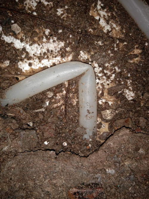 红原堵点精准查找